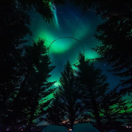 Buubble Hotel - Oelvisholt Selfoss Kültér fotó
