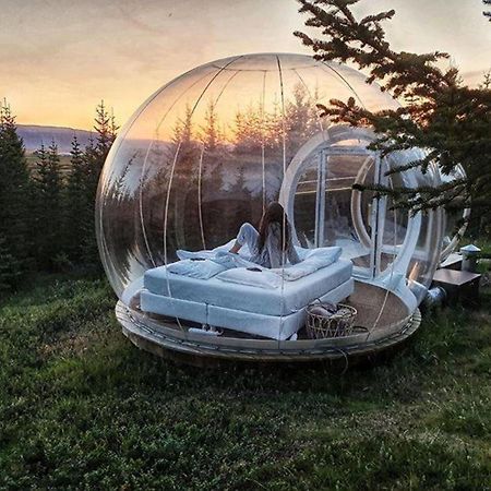 Buubble Hotel - Oelvisholt Selfoss Kültér fotó