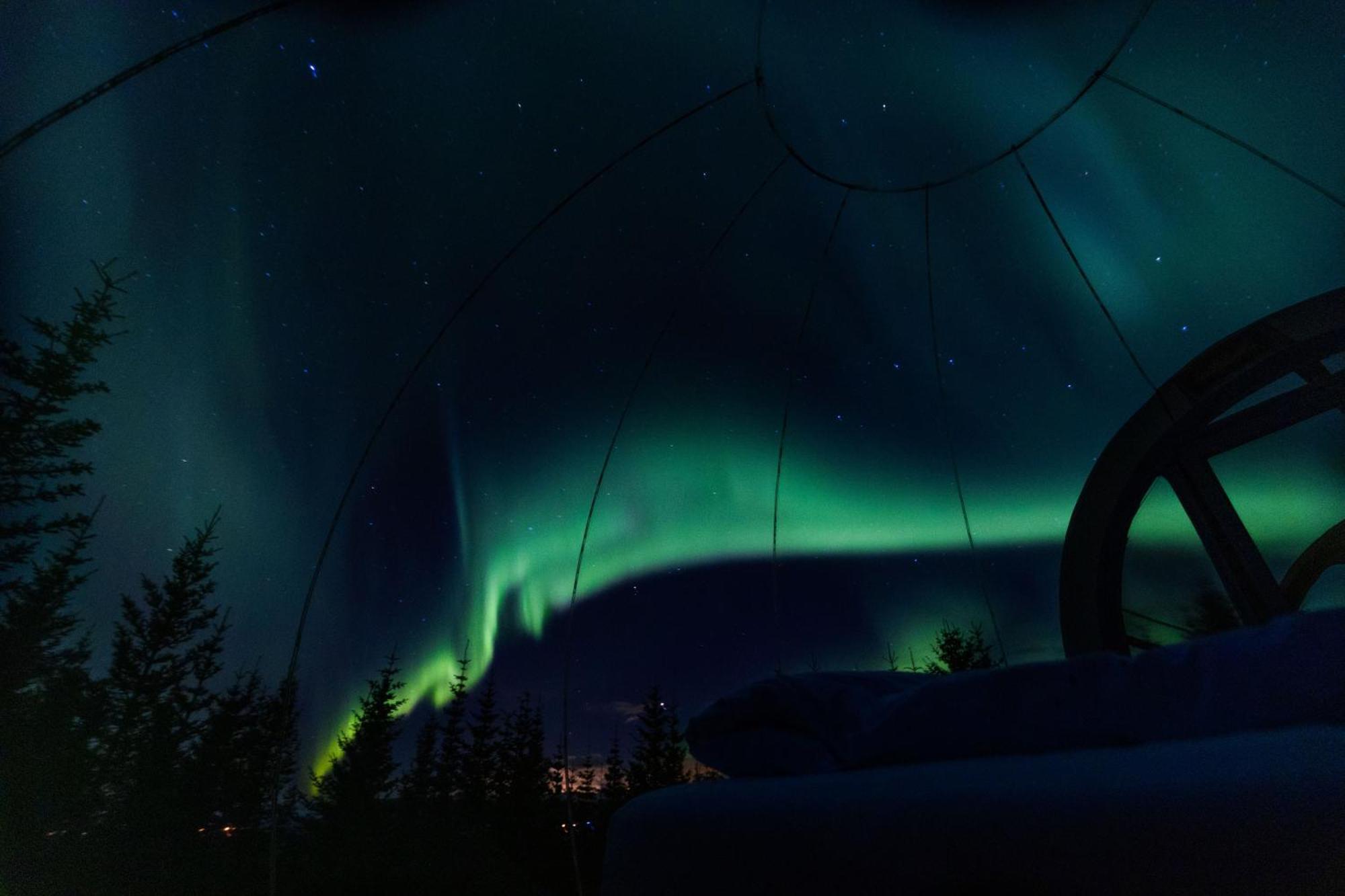 Buubble Hotel - Oelvisholt Selfoss Kültér fotó